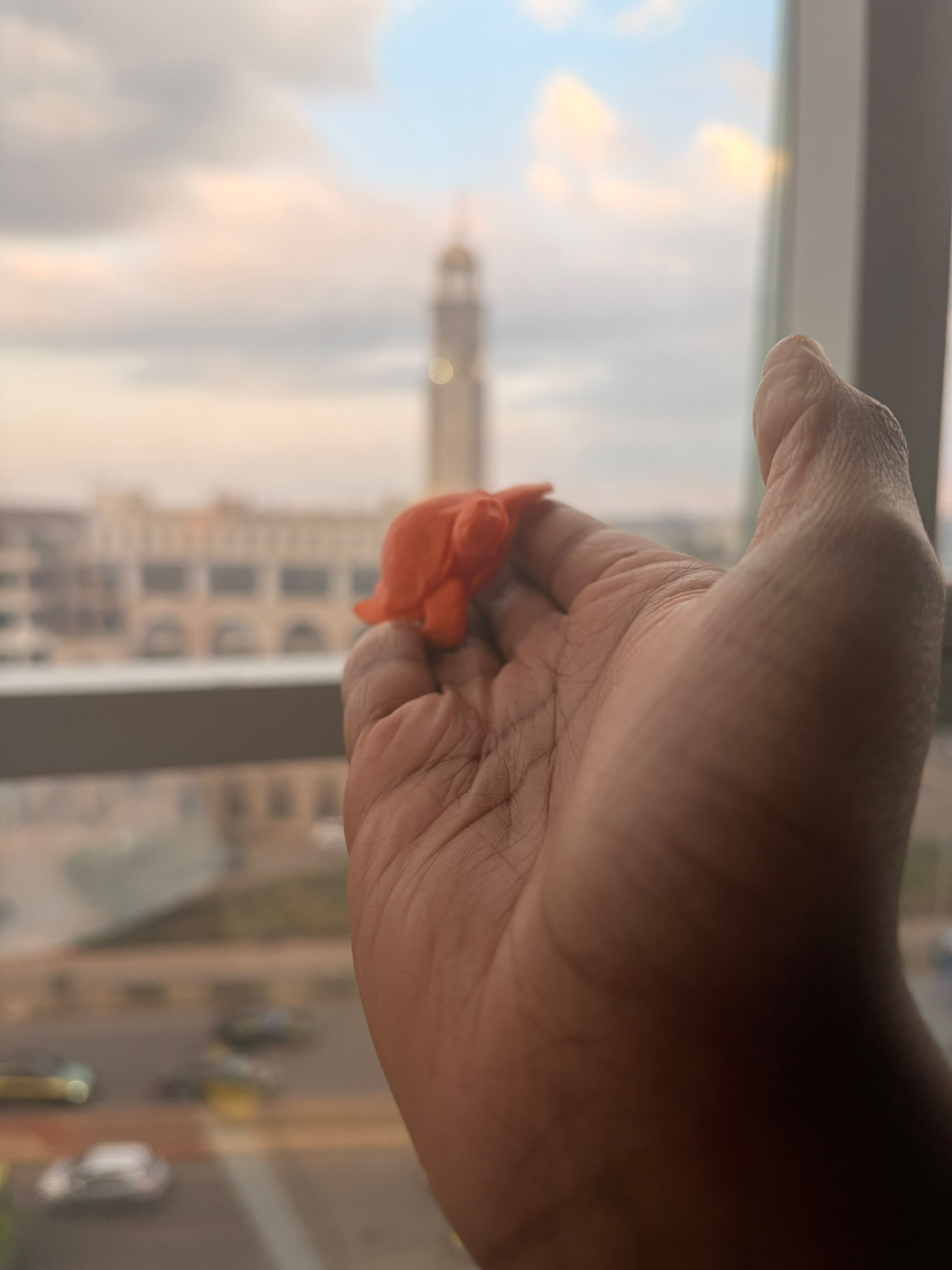 Smiling Turtle on PLA Orange